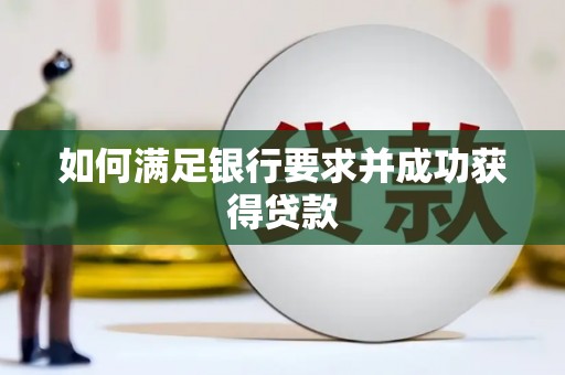 南丹如何满足银行要求并成功获得贷款