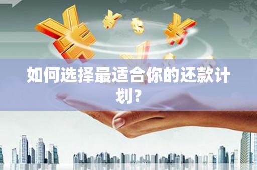 南丹如何选择最适合你的还款计划？