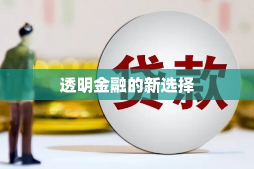 南丹透明金融的新选择