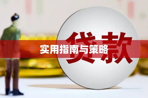 南丹实用指南与策略