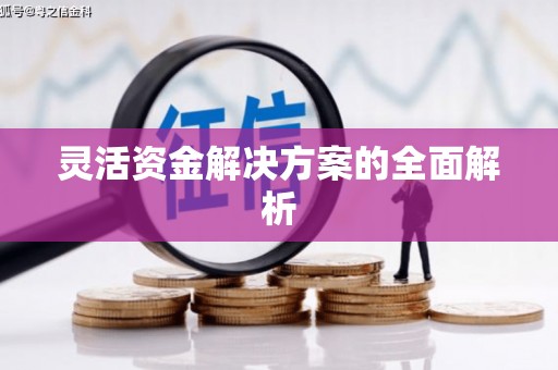 南丹灵活资金解决方案的全面解析