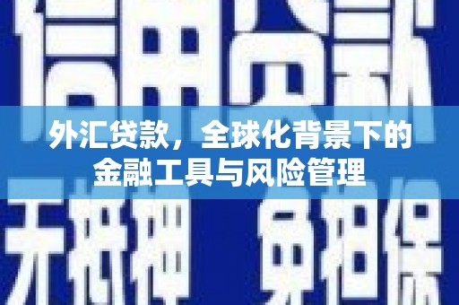南丹外汇贷款，全球化背景下的金融工具与风险管理
