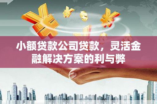 南丹小额贷款公司贷款，灵活金融解决方案的利与弊