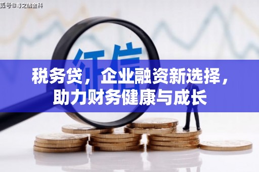 南丹税务贷，企业融资新选择，助力财务健康与成长